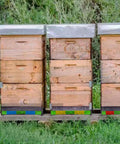 Three beehives with Six Pack Beehive Entrance Reducer Kit With Adjustable Sliding Gate For 10 Frame Hives, colorful inlets