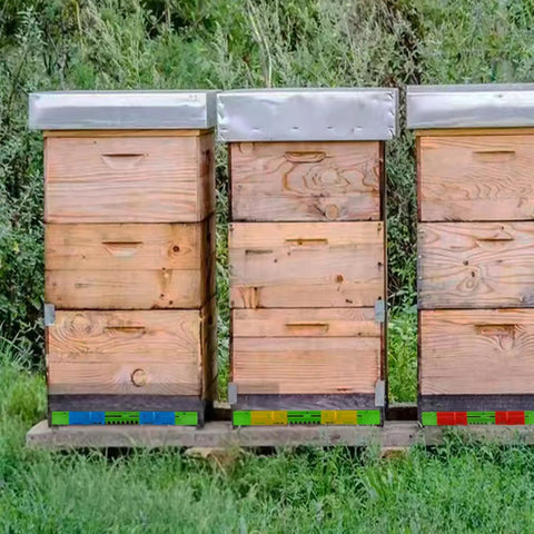 Three beehives with Six Pack Beehive Entrance Reducer Kit With Adjustable Sliding Gate For 10 Frame Hives, colorful inlets