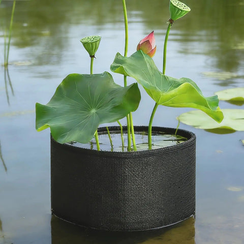 4 Pack Foldable Pond Plant Bags For Hyacinths And Lilies floating in a pond with green leaves and budding flowers.