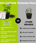 Touch Me Not Mimosa Pudica Plant Kit Interactive Zombie Plant vs other brands comparison with benefits listed