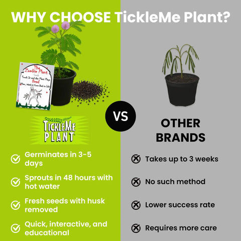 Touch Me Not Mimosa Pudica Plant Kit Interactive Zombie Plant vs other brands comparison with benefits listed