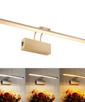 900 Lumen Dimmable LED Picture Light With Dual Arm Mount, 4 Color Modes Plus UV 395nm, Remote Control, 9W, Matte Brass Finish