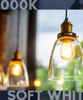 Close-up of vintage A19 LED light bulbs 60W equivalent 3000K soft white dimmable Edison style hanging in lamps