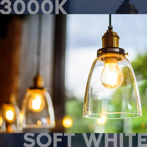 Close-up of vintage A19 LED light bulbs 60W equivalent 3000K soft white dimmable Edison style hanging in lamps