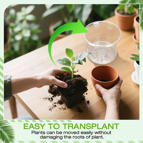 Person transplanting plant into Clear Nursery Pots With Drainage Trays, 25 Pack Plastic Pots For Plants, showing clear tray setup.