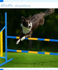 Dog leaping over adjustable wing jump hurdles for dog agility training, metal frame bar jumps, indoor outdoor course with stable support.