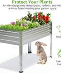 Two Pack Galvanized Raised Garden Bed With Legs For Easy No Bending Gardening, Large Metal Planter Boxes 48 Gallons Each, garden use