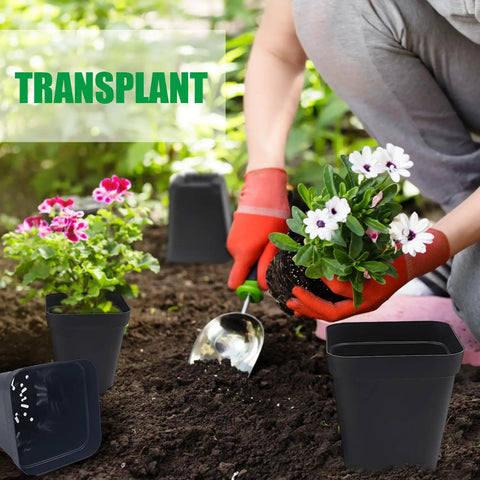 Person transplanting flowers using 3 inch Square Seed Starter Pots 120 Pack Black Plastic Nursery Pots with Drainage