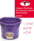 Purple 2 Gallon Heavy Duty Workhorse Plastic Buckets 2 Pack For Farm Home Laundry And Water With Flat Back Design Stacking Ribs