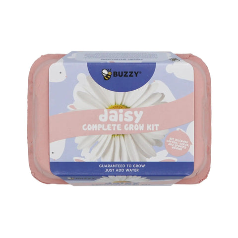 Two Pack Indoor Flower Grow Kit With Colorful Egg Cartons, featuring a daisy design on the packaging, eco-friendly medium included.