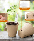 150 Pack All In One Seed Starter Kit Biodegradable Peat Pots 3.15 Inch With Drainage Holes Round Garden Plant Nursery Pots Includes 30 Plant Labels And 2 Transplant Tools shown with labels, drainage holes, and seedlings.