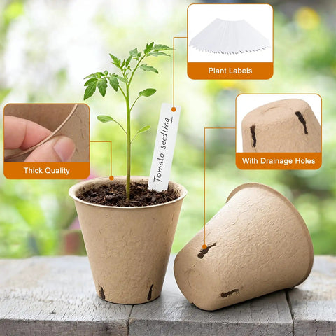 150 Pack All In One Seed Starter Kit Biodegradable Peat Pots 3.15 Inch With Drainage Holes Round Garden Plant Nursery Pots Includes 30 Plant Labels And 2 Transplant Tools shown with labels, drainage holes, and seedlings.