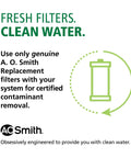 Replacement RO Membrane And Remineralizer Kit For The Clean Water Filter With RO Boost Makes Your Water Tastier Adds Essential Minerals For Home Drinking Water Not Compatible With SmartFlow Systems promotional image with AO Smith logo and filter illustration.