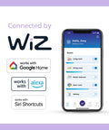 Connected by WiZ smart bulb app, Google Home, Alexa, and Siri Shortcuts with phone room controls
