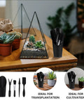 5 Piece Succulent Plant Tools Set For Transplanting And Planting, Mini Garden Hand Tools, Black Gardening Kit For Indoor Succulent Care And Bonsai Maintenance, Lightweight And Easy To Carry, 5-piece black plastic tools in holder