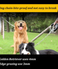 Heavy Duty 304 Stainless Steel Garden Chain With A Slick Polished Look Perfect For Backyard Dog Tethers with dogs outdoors.