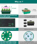 Comparison of Seed Starter Tray Kit No Fuss With Heat Mat And Grow Light and a standard seedling tray without these features.