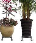 Heavy Duty Iron Plant Stand For Indoor And Outdoor Use Rustproof Metal Round Pot Holder Bronze Finish with two potted plants