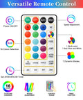 Remote control for 66ft 200 LED Rope Lights Outdoor Waterproof With Remote Control, 16 colors, 7 modes, timer functions