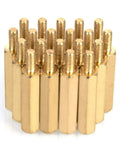 Brass standoffs from Raspberry Pi All-In-One Spacer Kit 160 Pieces M2.5 Brass Standoffs Nuts Screws Set For Raspberry Pi 4 Model B 3B 3B Plus Zero W 2B And More Easy Install Pro Accessories