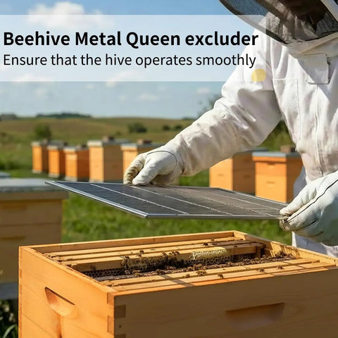 Beekeeper holding Metal Queen Excluder Set For 8 Frame Beehives, 3 Pack Beekeeping Equipment on hive