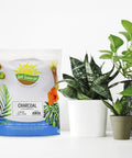 Hardwood Charcoal Soil Additive For Indoor Plants 2 Quarts Perfect For Orchids Terrariums And Gardens Boosts Drainage