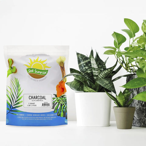 Hardwood Charcoal Soil Additive For Indoor Plants 2 Quarts Perfect For Orchids Terrariums And Gardens Boosts Drainage