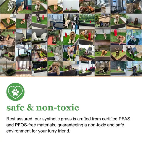Collage of dogs using Outdoor Dog Potty Grass With Drainage Hole Realistic Artificial Turf For Pets Replacement Grass Standard Size.
