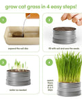 Steps to grow Indoor Cat Grass Kit For Healthy Cats With Three Complete Organic Planter Kits To Grow Your Own Cat Grass From Organic Seeds