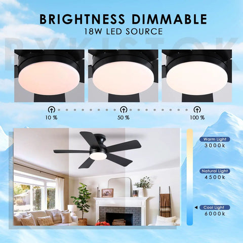 41 Inch Black Flush Mount Ceiling Fan With Lights Remote Control Dope Quiet DC Motor 6 Speed Reversible 3CCT LED Dimmable
