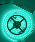 Coiled LED strip light with Six Pack 60W Waterproof LED Driver Power Supply IP67 100-260V AC To 12V DC Low Voltage Converter For Outdoor Lights.