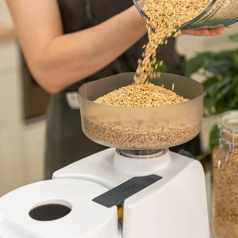 Pouring grains into Beefy 1200W High Speed Electric Grain Mill For Fresh Flour Compact Impact Grinder With Stainless Steel Milling Heads Wheat Grinder For Smooth Bread Flour Texture