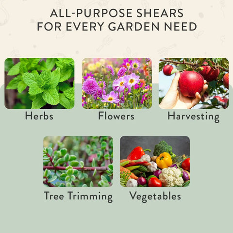 All-purpose garden shears for herbs, flowers, tree trimming, harvesting, and vegetables, displayed with colorful images of greenery.