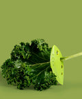 Zero Stress Leaf Stripper For Fresh Kale And Collard Greens With Super Sharp Curved Cutting Edge Quick Herb Chopper Kitchen Gadget, vibrant green gadget used on fresh kale.