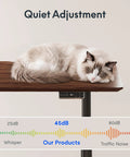 Straight Up Premium Motorized Height Adjustable Standing Desk With Heavy Duty Matte Black Frame And Legit Solid North American Black Walnut Desktop For Serious Daily Workspace Flex with sleeping cat on top.