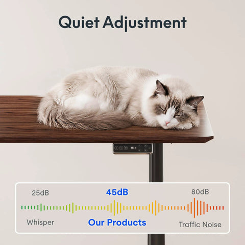 Straight Up Premium Motorized Height Adjustable Standing Desk With Heavy Duty Matte Black Frame And Legit Solid North American Black Walnut Desktop For Serious Daily Workspace Flex with sleeping cat on top.