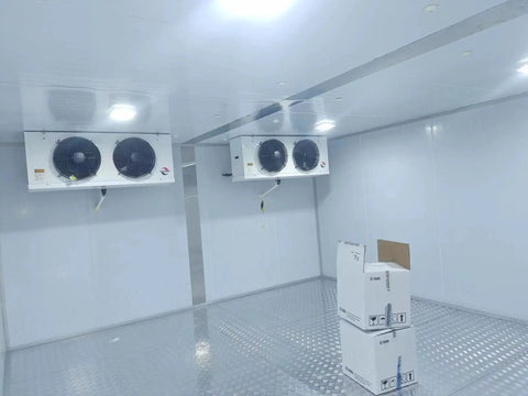 Interior view of Custom Cold Room Build Top Shelf Heavy Duty Industrial Walk In Freezer with dual fans and storage boxes.