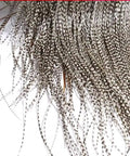 10 Pack Bronze Rooster Saddle Fly Tying Feathers For Midge NAT Grizzly Color Hand Selected Dry Fly Hackle For Trout Fishing Size 18 20 Hooks
