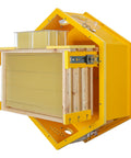 Observation Beehive Starter Kit With 3 Frames And 6 Reusable Honeycomb Trays in hexagon shape, wall-mounted with open window.