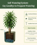 Self Watering Garden Planter With Trellis For Outdoor And Indoor Plants, showing water system and root growth stages.
