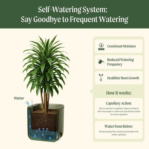 Self Watering Garden Planter With Trellis For Outdoor And Indoor Plants, showing water system and root growth stages.