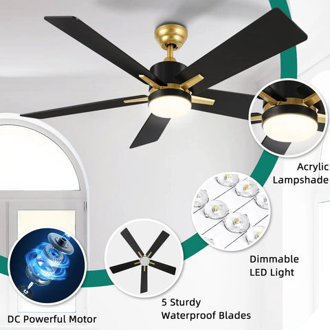 52 Inch Modern Black Gold Ceiling Fan With Led Light Remote And Smart App Control Smooth As Butter Quiet Motor Six Speeds Dimmable 3 Color Temperatures For A Chill Indoor Outdoor Vibe with acrylic lampshade and sturdy blades.