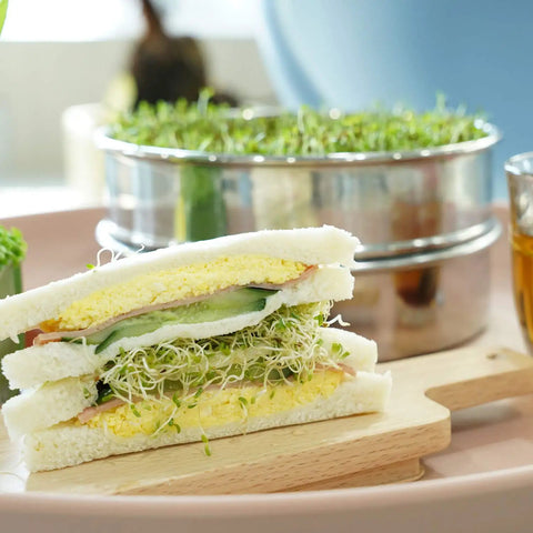 Stackable Stainless Steel Seed Sprouting Kit With Two Mesh Trays Base And Lid Durable 304 Grade Easy Drainage and sandwich