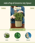 Person placing plant in cream Indoor Garden Mini Planter With Trellis Self Watering System For Climbing Vegetables And Herbs Countertop Planter Box 2 Pack Cream White Dope Starter Kit For Mint Basil Flowers And More on windowsill