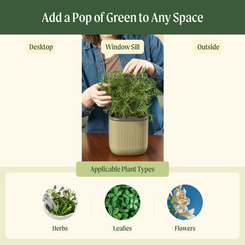 Person placing plant in cream Indoor Garden Mini Planter With Trellis Self Watering System For Climbing Vegetables And Herbs Countertop Planter Box 2 Pack Cream White Dope Starter Kit For Mint Basil Flowers And More on windowsill