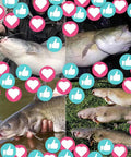 Four trophy catfish images with social media icons; ideal catch for Rattler Catfish Float Rig For Bank Fishing Santee Cooper Style.