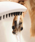 DogShower 150 3-Jet Handheld Dog Bath Bundle With Hose White 1.75 GPM Easy Grip rinsing muddy paw with water spray
