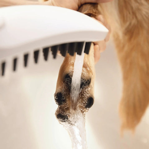 DogShower 150 3-Jet Handheld Dog Bath Bundle With Hose White 1.75 GPM Easy Grip rinsing muddy paw with water spray