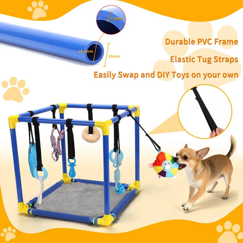 Indoor Puppy Play Gym With Hanging Toys And 8 Enrichment Toys For Small Dogs Cats And Other Pets PVC Frame Activity Center