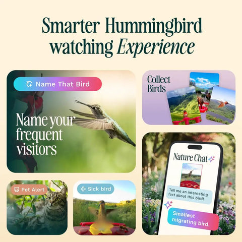Smart Solar Pro Hummingbird Feeder With Camera And AI Bird Identification 2K Video Capture 5MP Photos Outdoor Hanging Bird Feeder Perfect Gift For Backyard Bird Watching Fans showing app features and hummingbirds.